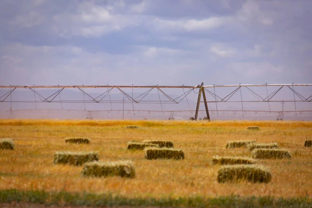 agriculture visa